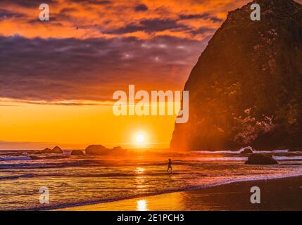 So Spielen Sie „Birds Colourful Sunset Orange Blue Pink Haystack Rock Canon Beach Clatsap County Oregon“: Ursprünglich entdeckt von Clark von Lewis Clark im Jahr 1805 Stockfoto