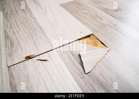 Zerstörter Laminatboden. Zerbrochene Alte Haus Bodenbelag Mit Schäden Stockfoto