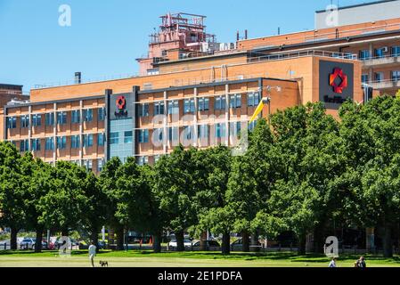 Melbourne, Australien. Januar 2021. Blick auf das Alfred-Krankenhaus vom Fawkner-Park über die gemähte Wiese, mit Menschen im Park. Das Alfred Hospital in Melbourne ist eines der zentralen Krankenhäuser mit General Hospital, Notaufnahme und spezialisierten medizinischen Suiten sowie einem großen medizinischen Forschungsgebiet. Kredit: SOPA Images Limited/Alamy Live Nachrichten Stockfoto