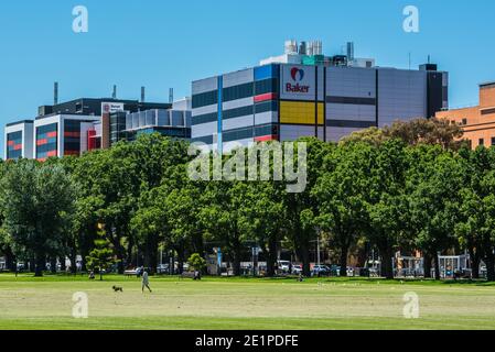 Melbourne, Australien. Januar 2021. Blick vom Fawkner Park auf das Baker IDI-Gebäude.Medizinisches Forschungsgebiet am Alfred-Krankenhaus, mit medizinischen Forschungseinrichtungen des Baker IDI (Heart and Diabetes Institute), einer der ältesten medizinischen Forschungsorganisationen Australiens. Kredit: SOPA Images Limited/Alamy Live Nachrichten Stockfoto