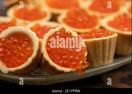 Tartlets mit Lachskaviar auf einer Platte. Nahaufnahme, selektiver Fokus Stockfoto