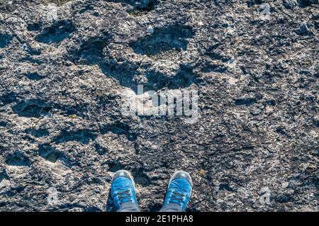 Ichnite, fossile Spur, Fußabdruck, Enteledon, Sant Mateu de Bages, Katalonien, Spanien Stockfoto