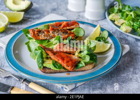 Sardinen in Tomatensauce mit Avocado und Lammsalat Toast Stockfoto