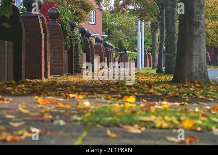 Wunderschöne herbstliche niedrige Boden Nahaufnahme von Bürgersteig mit vielen bunten Blätter fallen auf den Bäumen, Ballinteer, Dublin, Irland. Jahreszeiten Ändern Sich Stockfoto