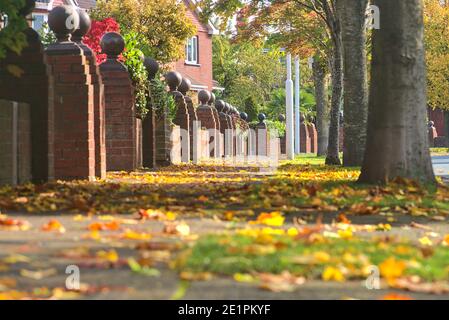 Wunderschöne herbstliche niedrige Boden Nahaufnahme von Bürgersteig mit vielen bunten Blätter fallen auf den Bäumen, Ballinteer, Dublin, Irland. Jahreszeiten Ändern Sich Stockfoto