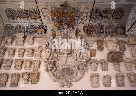 Padua, Venetien, Italien - August 16 2020: Wappen im Alten Hof oder im Cortile Antico des Palazzo del Bo, Universität Padova, auf Blazon oder Kartusche. Stockfoto