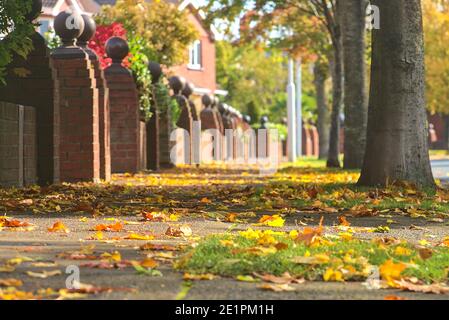 Wunderschöne herbstliche niedrige Boden Nahaufnahme von Bürgersteig mit vielen bunten Blätter fallen auf den Bäumen, Ballinteer, Dublin, Irland. Jahreszeiten Ändern Sich Stockfoto
