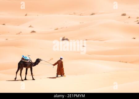 (Selektiver Fokus) atemberaubende Aussicht auf einen beduinen, der Kamele auf den Sanddünen in Merzouga, Marokko reitet. Merzouga ist ein kleines Dorf im Südosten Marokkos Stockfoto