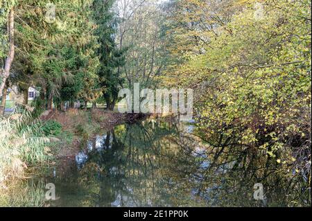 Fluss Zorn in der Region der Stadt Brumath im Elsass, Frankreich. Die Ufer des Zorns sind sehr bewaldet, die schönen Herbstfarben leuchten. Stockfoto