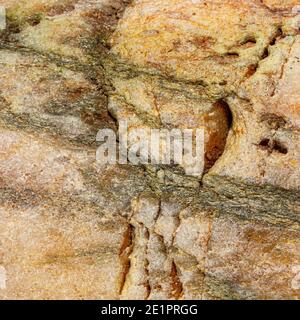 Detail eines bunten Seestein, ideal für Hintergründe und Texturen Stockfoto