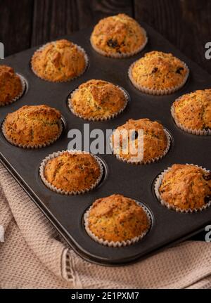 Hausgemachte Chiasamen und Cranberry-Muffins. Stockfoto