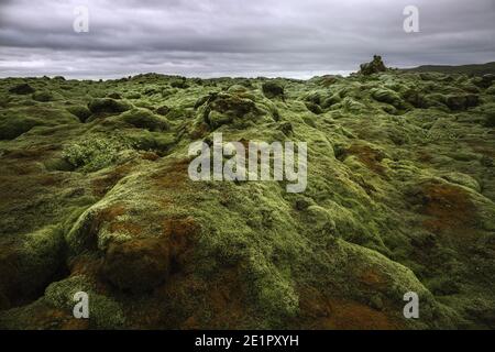 Lavafeld Eldhraun in Island Stockfoto