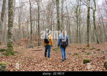 Unkenntlich junges Paar zu Fuß mit Rucksäcken in erstaunlichen herbstlichen Wald.Wandern, Reisen Wanderlust Concept.Romantic und Freundschaft Lifestyle. Stockfoto