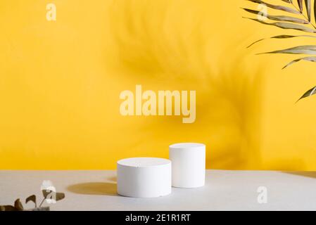 Geometrische Podium-Szene mit trockenem Schilf auf Duoton gelb grau Hintergrund Stockfoto