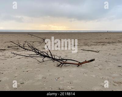 Camber Sands Beach in Camber Village East Sussex UK im Winter, beliebtes Tagesausflugziel im Sommer auf Südengland Küste Rettungsschwimmer Turm Stockfoto
