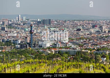 Blick von einem Hügel auf die Wiener Innenstadt mit dem Turm der Müllverbrennungsanlage Spittelau und mehreren Kirchen in Österreich. Stockfoto