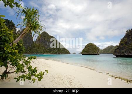 Tropischer Paradiesstrand im Wayag Archipel, Raja Ampat. Westpapua, Indonesien Stockfoto