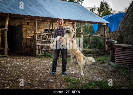 Ein Mann spielt mit seinem Hund auf dem Hof im Dorf ANIG, Bezirk Qusar, Aserbaidschan Stockfoto