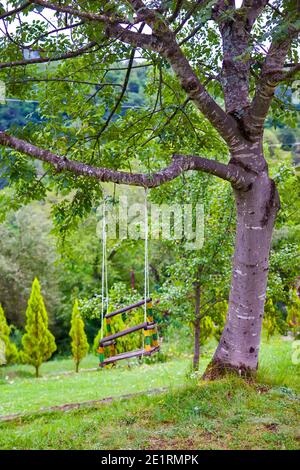 Alte hölzerne Schaukel auf dem Baum Stockfoto