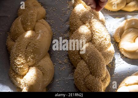 Hausgemachtes Challah-Brot backen. Vor dem Backen in einer Pfanne mit Sesamsamen umflechten. Der Teig puffte vor dem Backen. Hochwertige Fotos Stockfoto