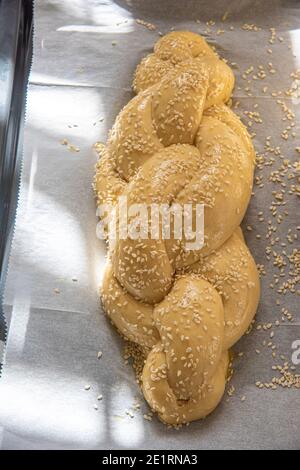 Hausgemachtes Challah-Brot backen. Vor dem Backen in einer Pfanne mit Sesamsamen umflechten. Der Teig puffte vor dem Backen. Hochwertige Fotos Stockfoto