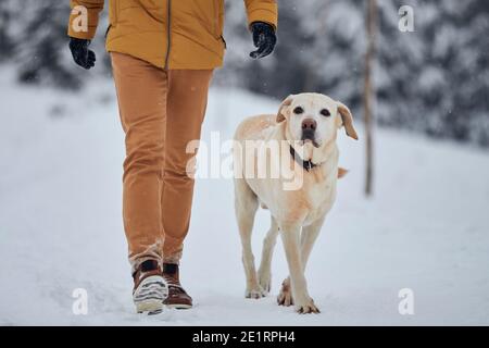 Mann mit Hund im Winter Natur. Gehorsam labrador Retriever zu Fuß mit seinem Besitzer im Schnee. Isergebirge, Tschechische Republik Stockfoto