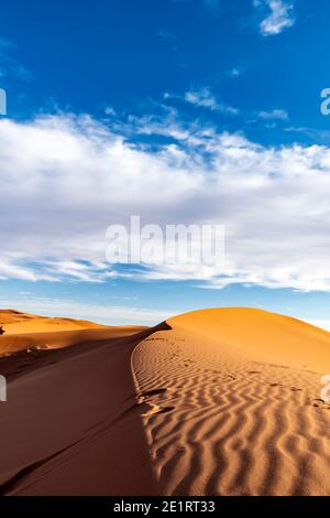 (Selektiver Fokus) atemberaubende Aussicht auf einige Sanddünen beleuchtet während eines sonnigen Tages in Merzouga, Marokko. Natürlicher Hintergrund mit Kopierbereich. Stockfoto