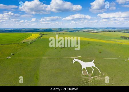 Das Alton Barnes White Horse in Wiltshire. Eine Kreidehügelfigur auf Milk Hill, nördlich des Dorfes Alton, Wiltshire, England. Stockfoto