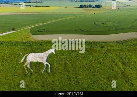 Das Devizes Weiße Pferd. Eine Figur auf einem Kreidehügel an einer Böschung am Roundway Hill am Rande der Stadt Devizes, Wiltshire, England. Stockfoto