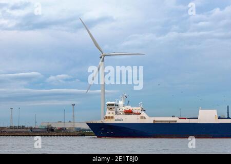 Das Schiff legt am Hafen von Tilbury an Stockfoto