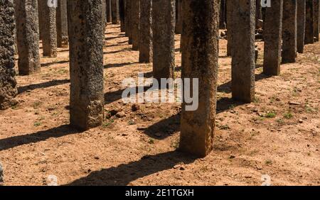 Lovamahapaya, Brazen Palace in Anuradhapura, Sri Lanka Stockfoto