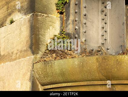 Unkraut wächst auf einem Eisenträger und Stein Eisenbahnbrücke Details Stockfoto