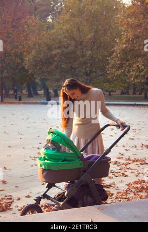 Die junge Mutter ist draußen im Park mit ihr Baby für einen Spaziergang mit dem Kinderwagen auf einem schönen Herbsttag Stockfoto