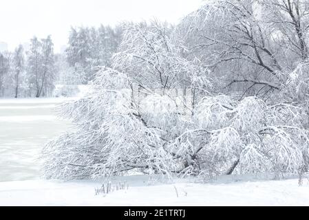 Winter Landschaft Hintergrund, Russland. Malerische Aussicht auf verschneiten Moskwa Fluss und Wald unter Schnee nach Schneefall, traditionelle russische Landschaft. Wetter, c Stockfoto