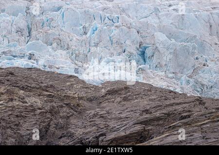 Eisbär ruht auf einer Berglinie, hoch oben auf einem Hügel bei Pyramiden auf Spitzbergen. Nordenskjoldbreen im Hintergrund. Stockfoto