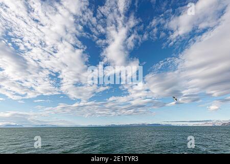 Isfjorden, Svalbard und Jan Mayen Stockfoto