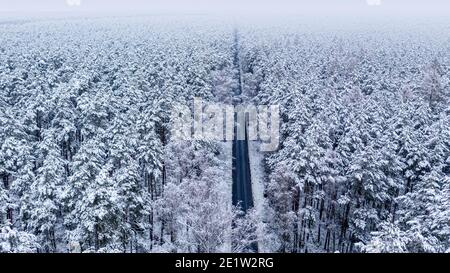 Luftaufnahme der langen geraden Straße in gefrorenen Wäldern, Polen Stockfoto