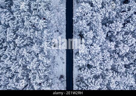 Draufsicht auf schwarze Asphaltstraße in gefrorenen Wäldern, Polen Stockfoto