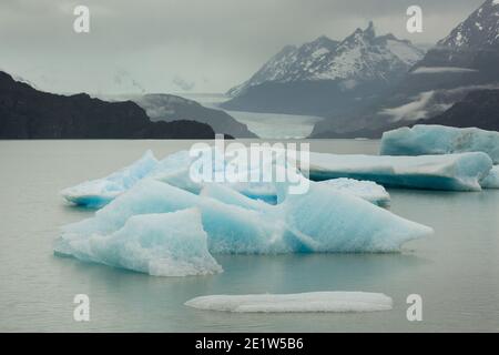 Eisberge, die vom Glacier Grey abgekalbt wurden, schwimmen im Wasser des Lago Grey, mit den zerklüfteten Gipfeln der Torres del Paine dahinter, Patagonien, Chile Stockfoto