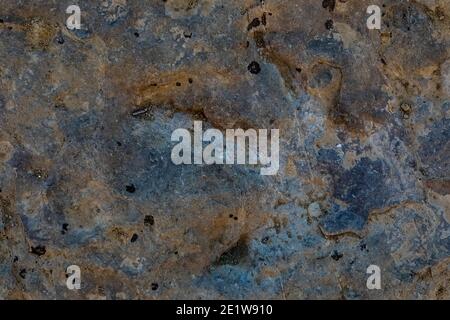 Track eines unbekannten Dinosauriers aus dem Mittleren Jura auf der Red Gulch Dinosaur Tracksite auf BLM Land in der Nähe von Greybull und Shell, Wyoming, USA Stockfoto