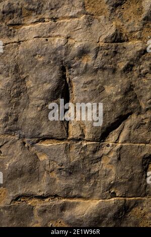 Teil einer Theropod-Strecke auf der Red Gulch Dinosaur Tracksite auf BLM Land in der Nähe von Greybull und Shell, Wyoming, USA Stockfoto