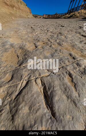 Track eines unbekannten Dinosauriers aus dem Mittleren Jura auf der Red Gulch Dinosaur Tracksite auf BLM Land in der Nähe von Greybull und Shell, Wyoming, USA Stockfoto