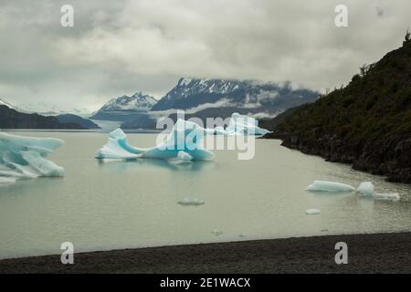 Eisberge, die vom Glacier Grey abgekalbt wurden, schwimmen in den Gewässern des Lago Grey, des Torres del Paine Nationalparks, Patagonien, Chile Stockfoto