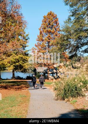 Afroamerikanisches Paar, Mann und Frau, Wandern auf einem Pfad in einem Park im Herbst, in Callaway Gardens, Pine Mountain Georgia, USA. Stockfoto
