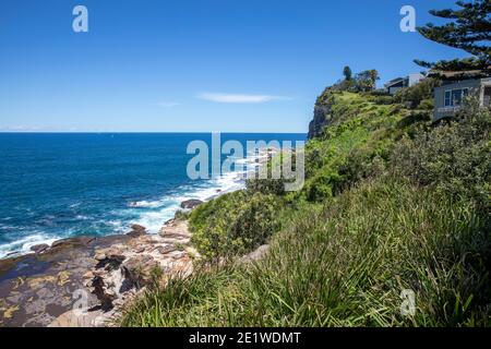 Bangalley Head am Avalon Beach an den nördlichen Stränden von Sydney, NSW, Australien Stockfoto