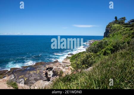 Bangalley Head am Avalon Beach an den nördlichen Stränden von Sydney, NSW, Australien Stockfoto