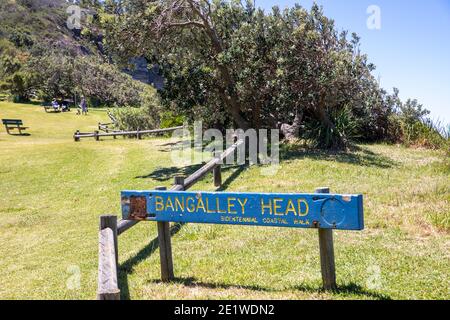 Bangalley Head am Avalon Beach an den nördlichen Stränden von Sydney, NSW, Australien Stockfoto