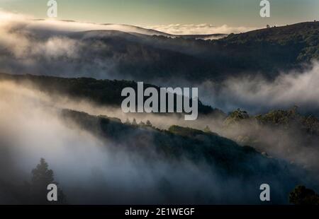 Nebel über Marin County, Kalifornien Stockfoto