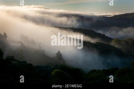 Nebel über Marin County, Kalifornien Stockfoto