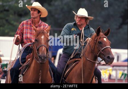 ZWEI FAHRER, DIE AN EINEM RODEO IN NEW SOUTH WALES, AUSTRALIEN, TEILNEHMEN. Stockfoto